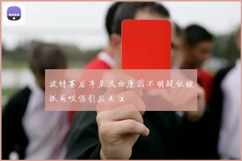 波特赛后耳朵流血原因不明疑似被抓或咬伤引发关注
