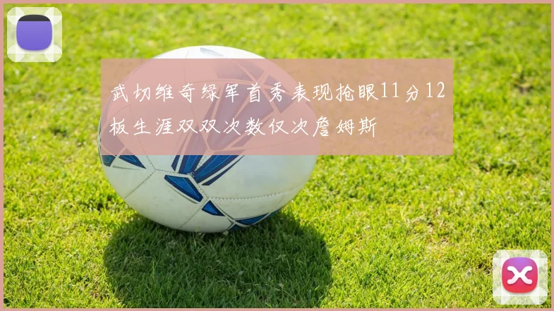 武切维奇绿军首秀表现抢眼11分12板生涯双双次数仅次詹姆斯
