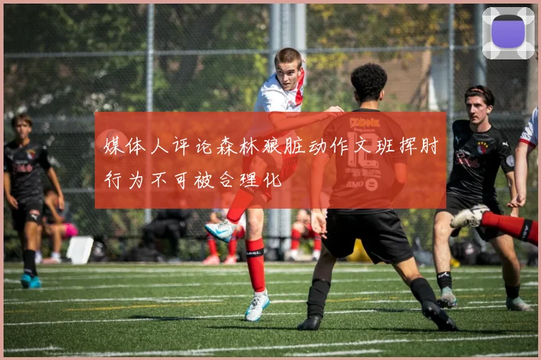 媒体人评论森林狼脏动作文班挥肘行为不可被合理化